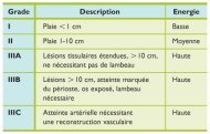 Grades de Gustilo